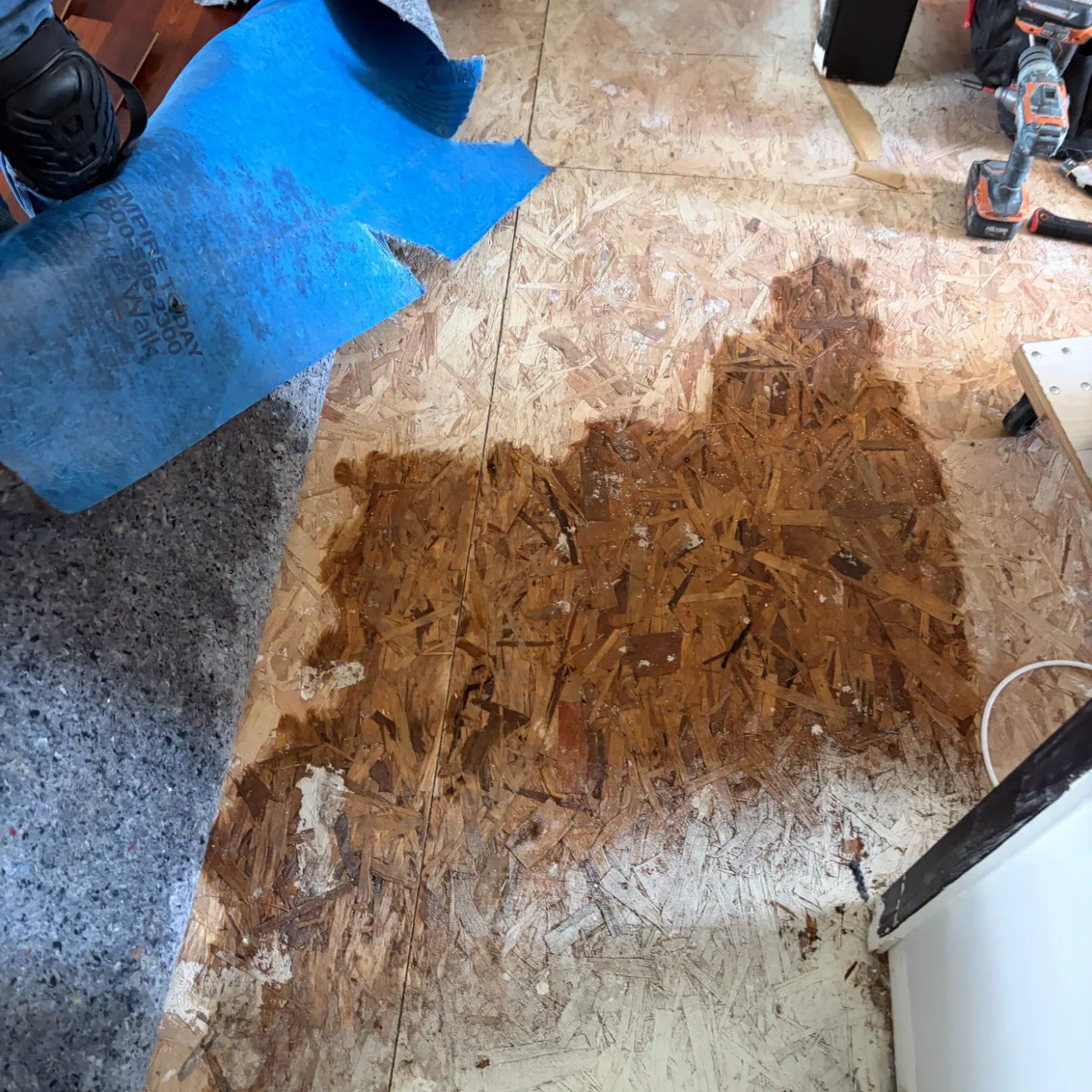 Thermal imaging during water damage assessment in Pendleton residence