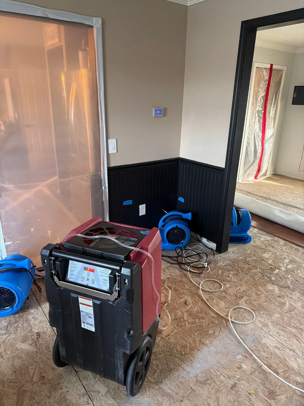 Carpet Water Damage in Pendleton: Drying Cost Stories